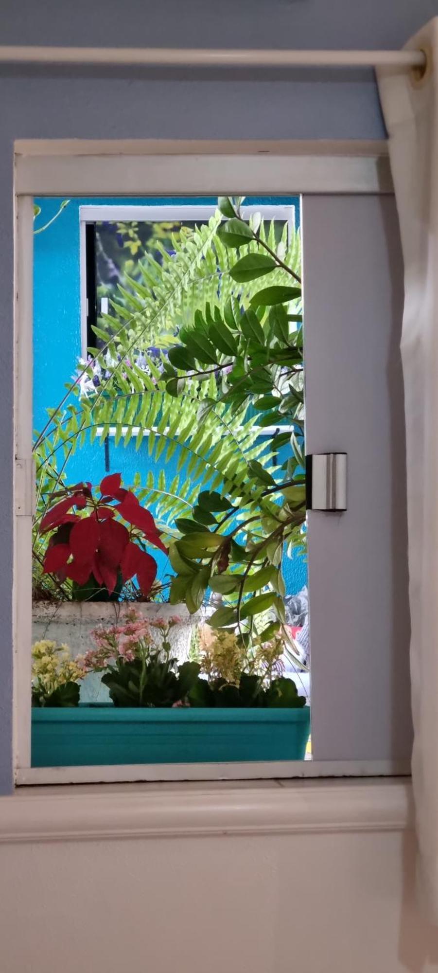 Pousada Recanto Da Familia Natal Exteriér fotografie